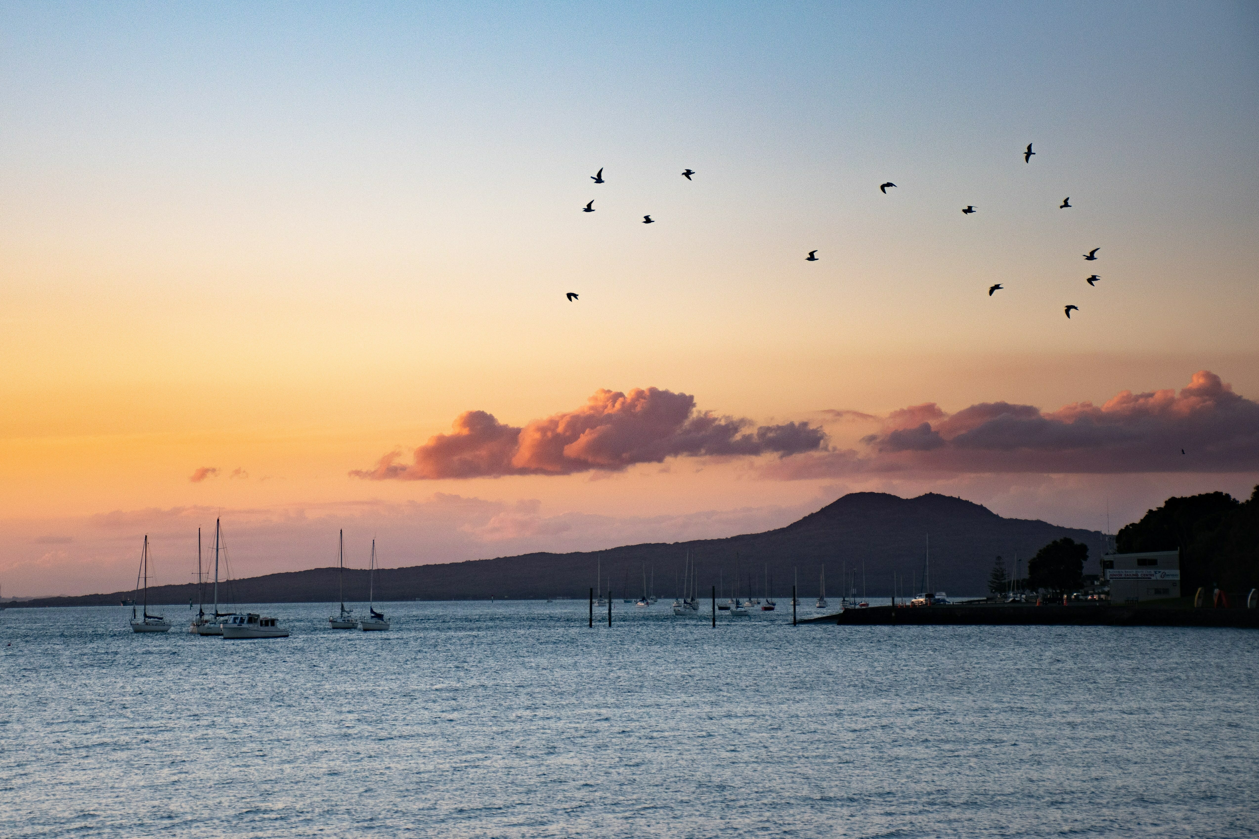 Hauraki gulf