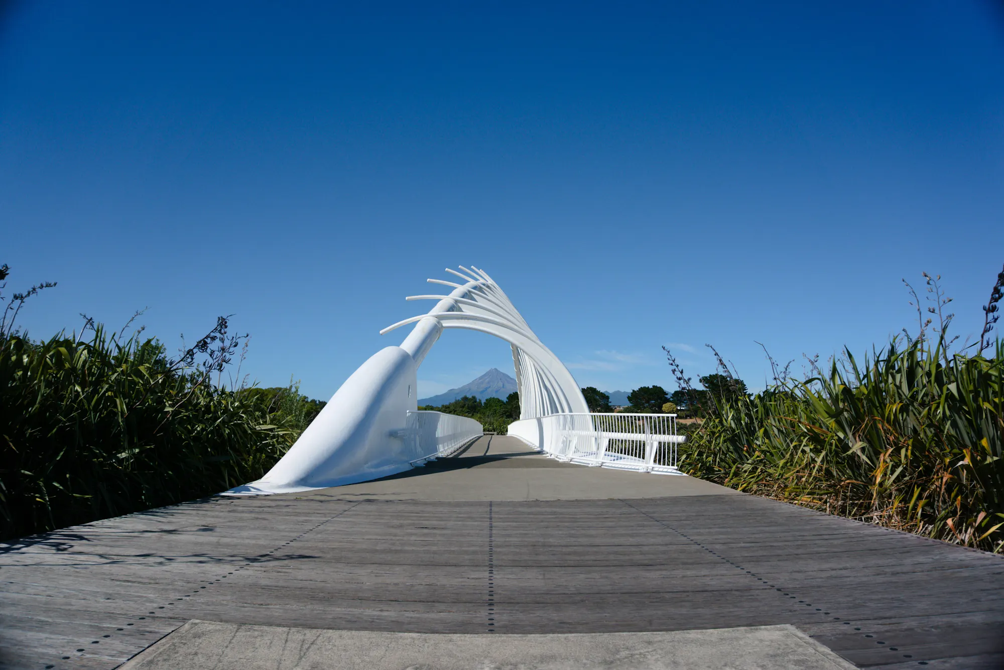 New plymouth