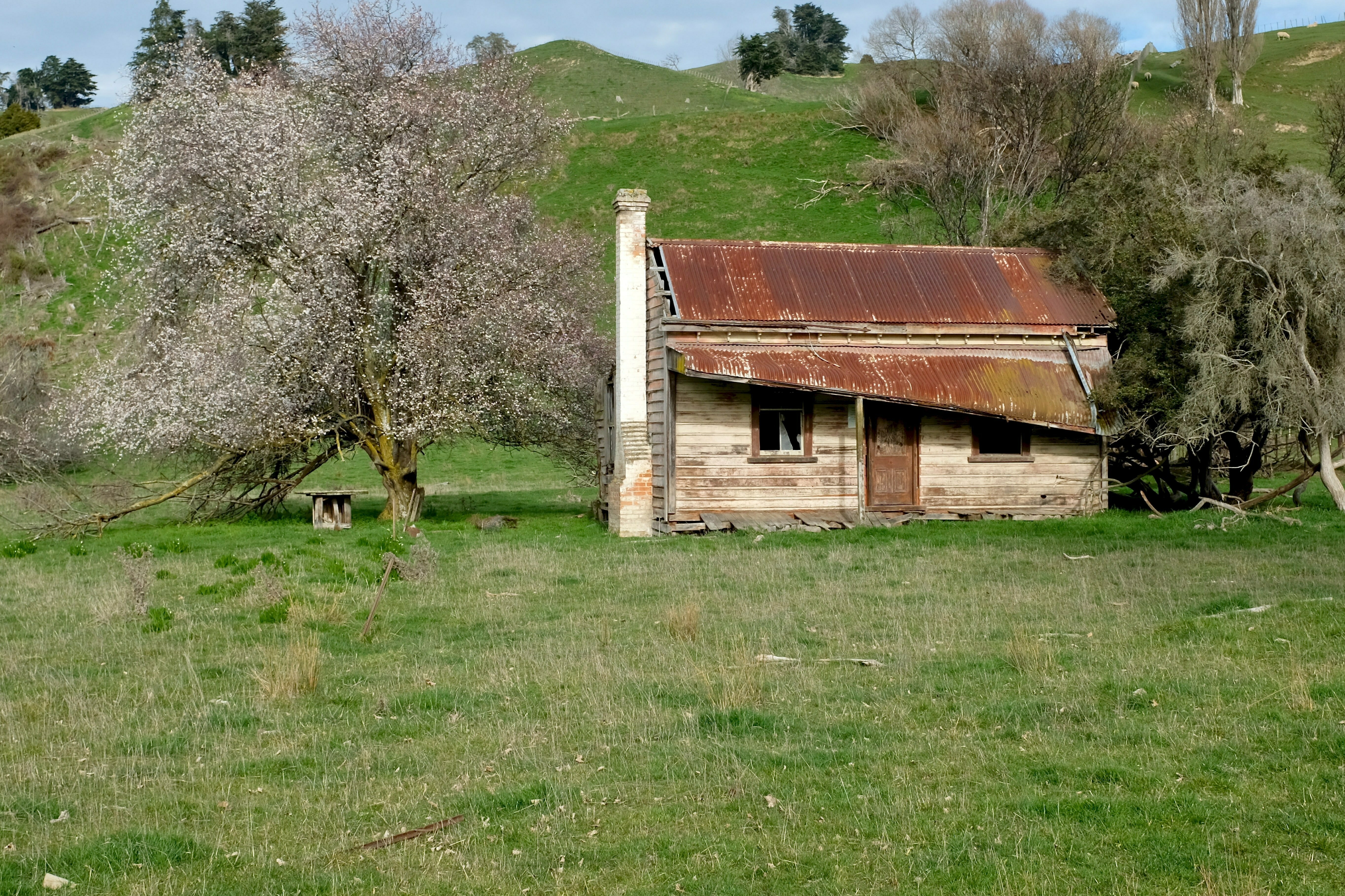 Taihape