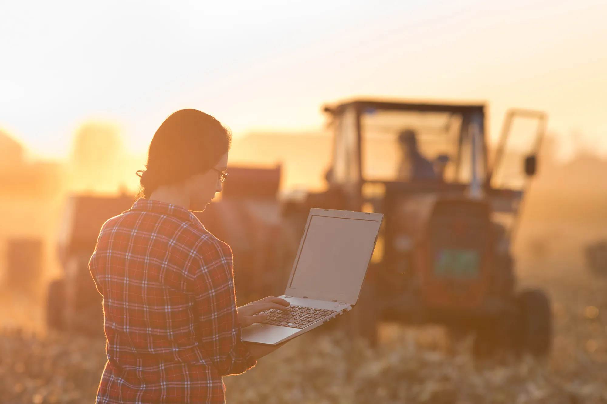 Rotorua Agri Web3 Kakapo Business Sales