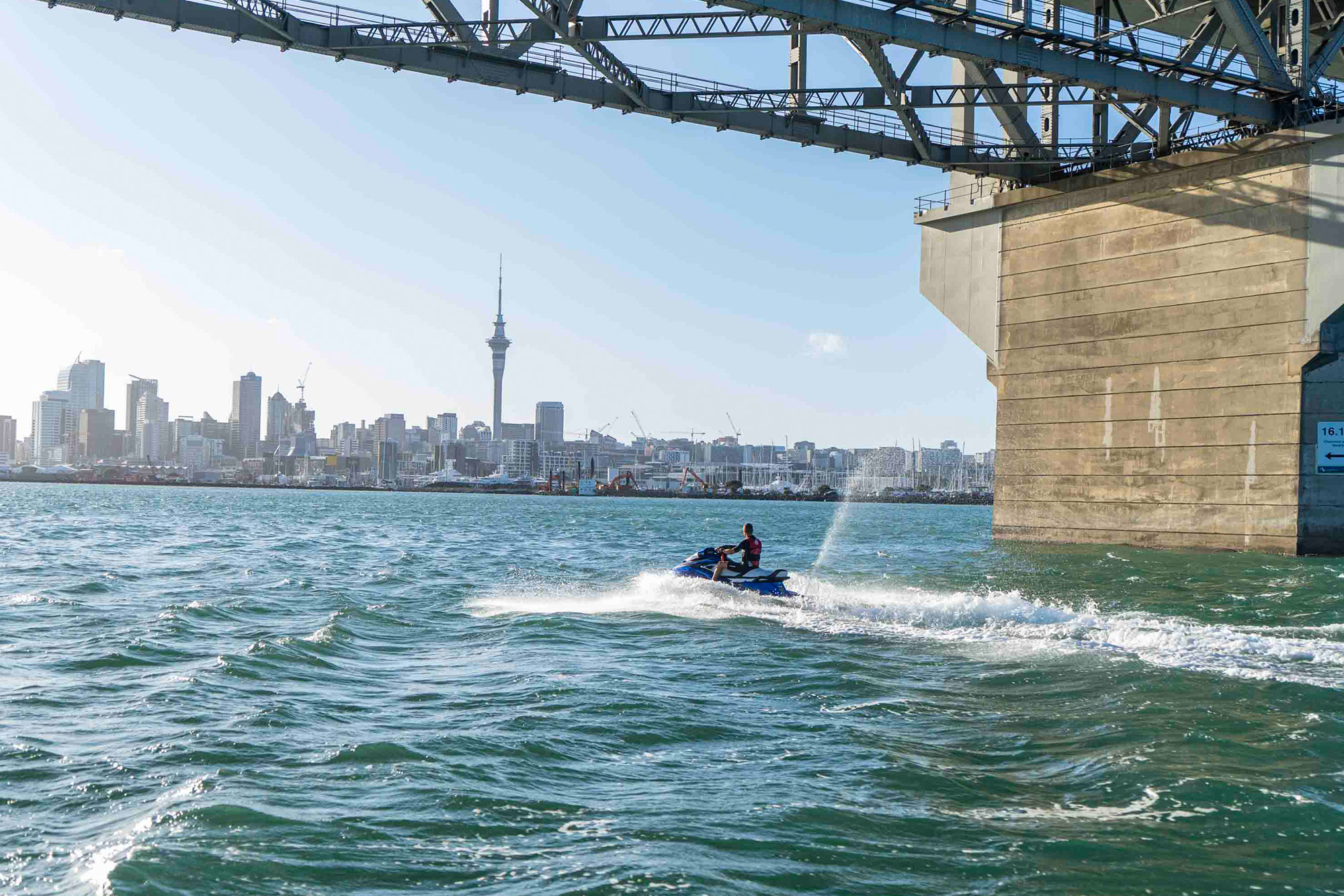 Sea Auckland Web3 Kakapo Business Sales