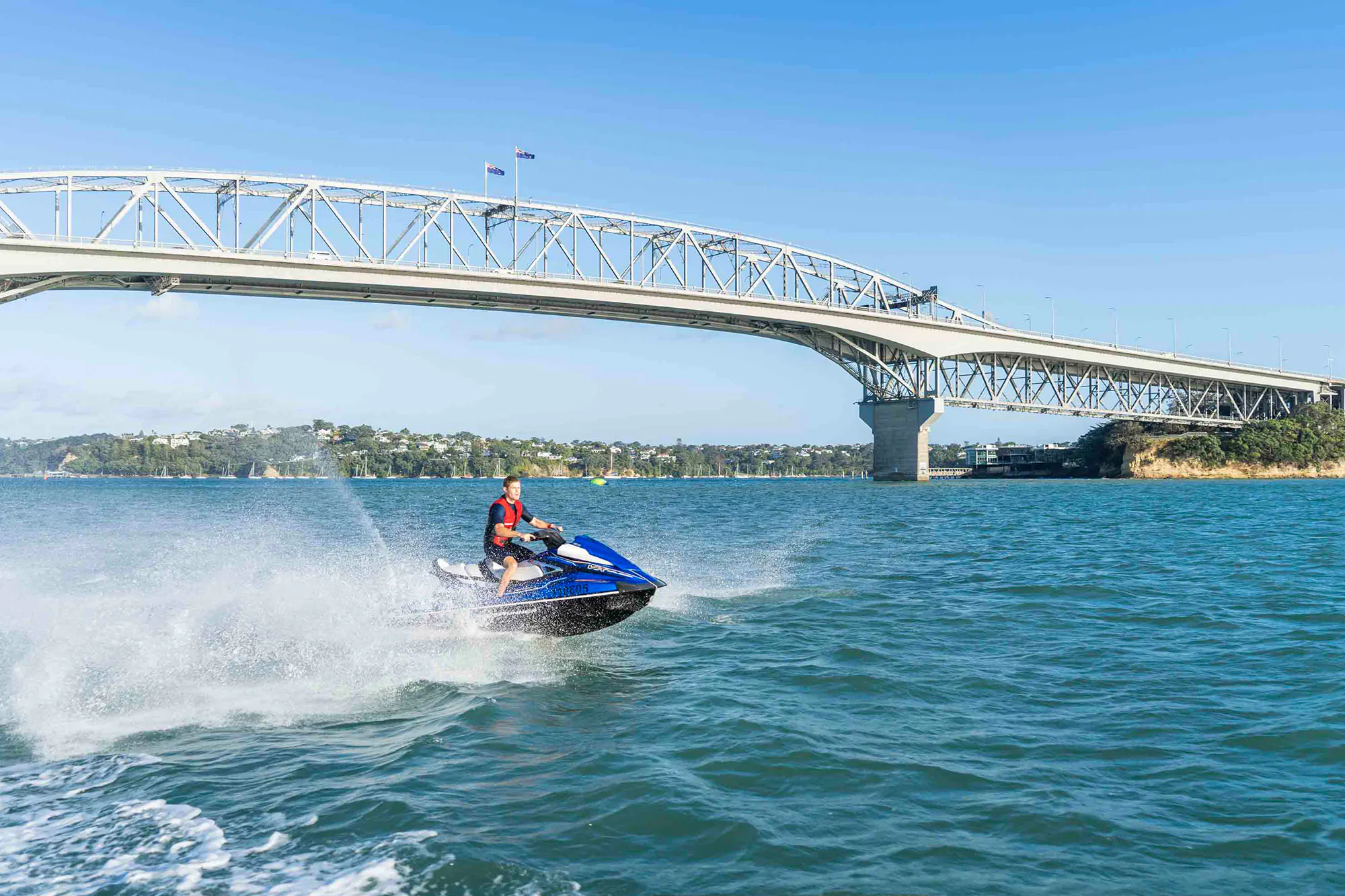 Sea Auckland Web4 Kakapo Business Sales