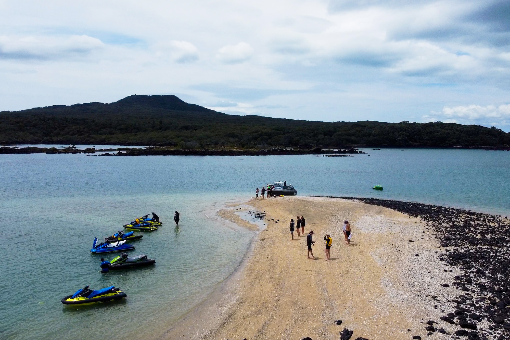Sea Auckland Web6 Kakapo Business Sales