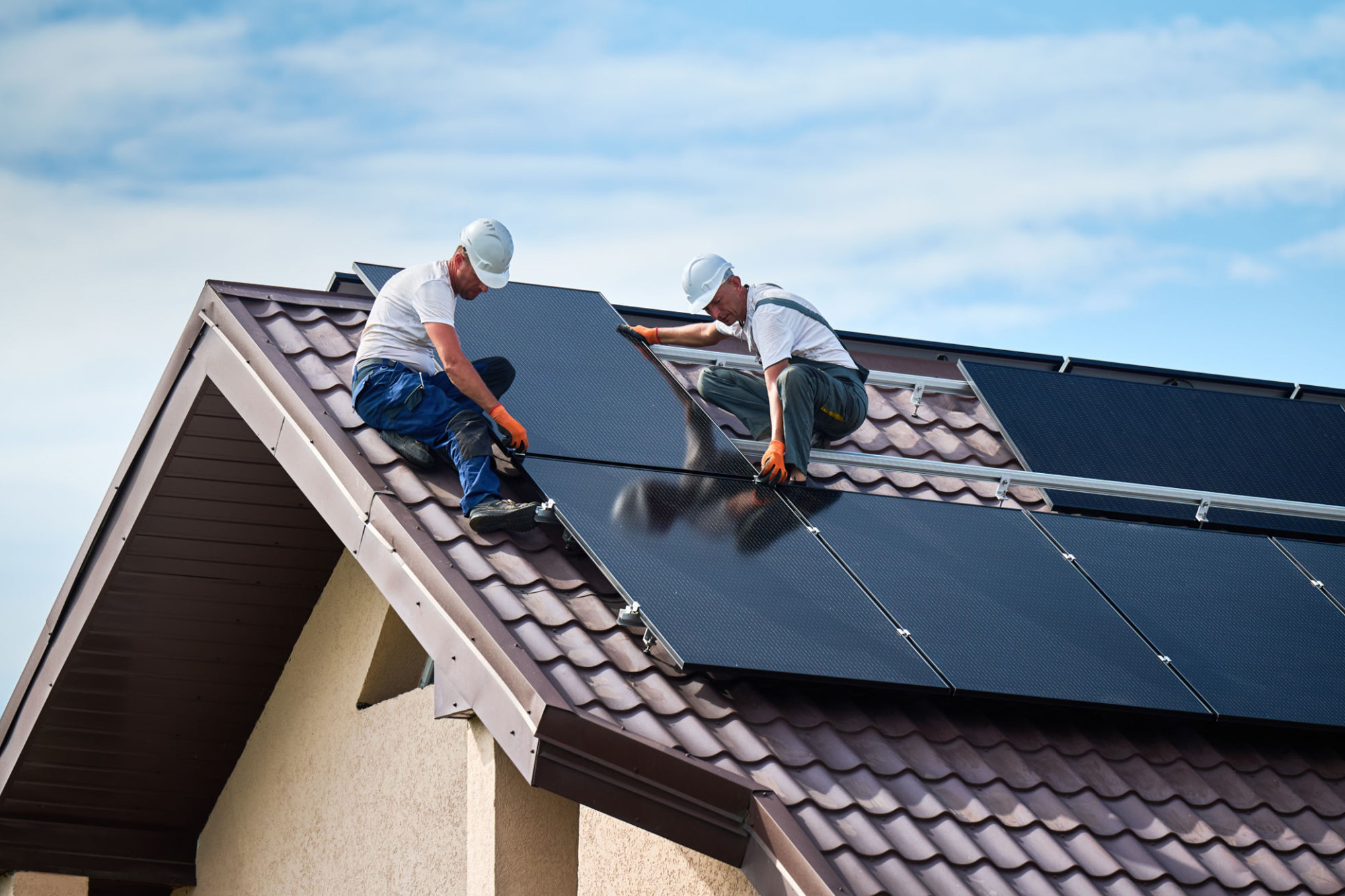 Solar Web1 Kakapo Business Sales