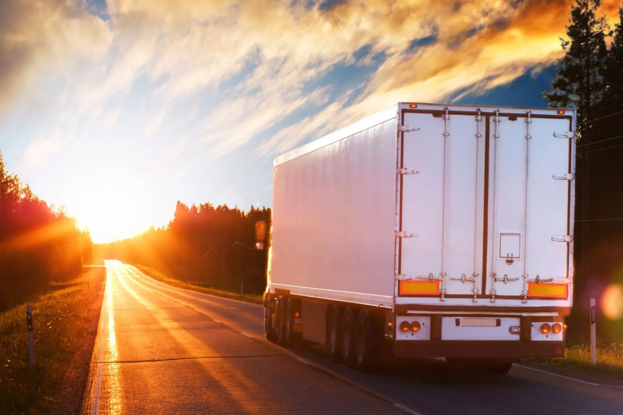 Tauranga Trucking Business Web1 Kakapo Business Sakes