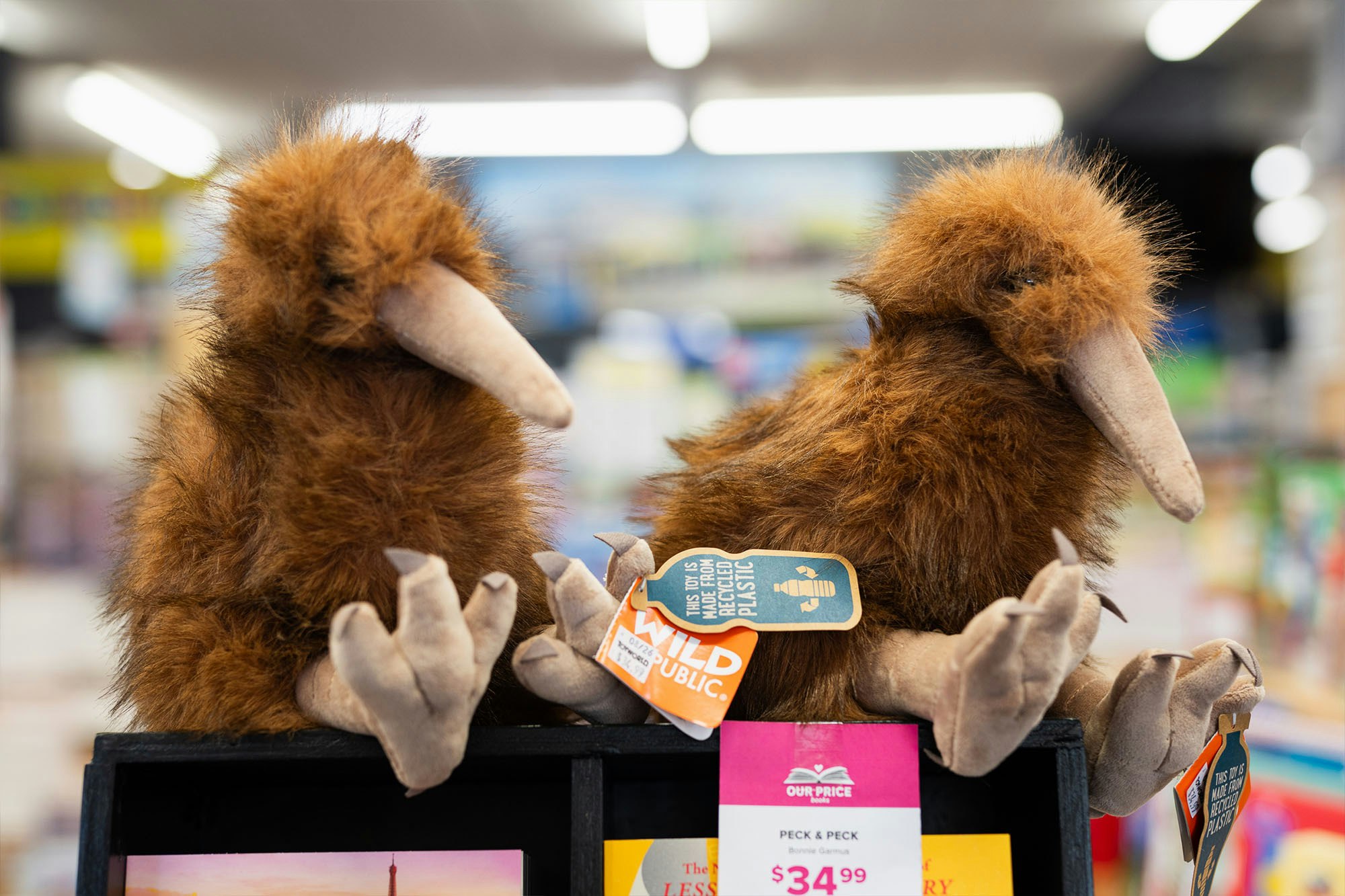 Toyworld Paper Plus Waihi Web11 Kakapo Business Sales