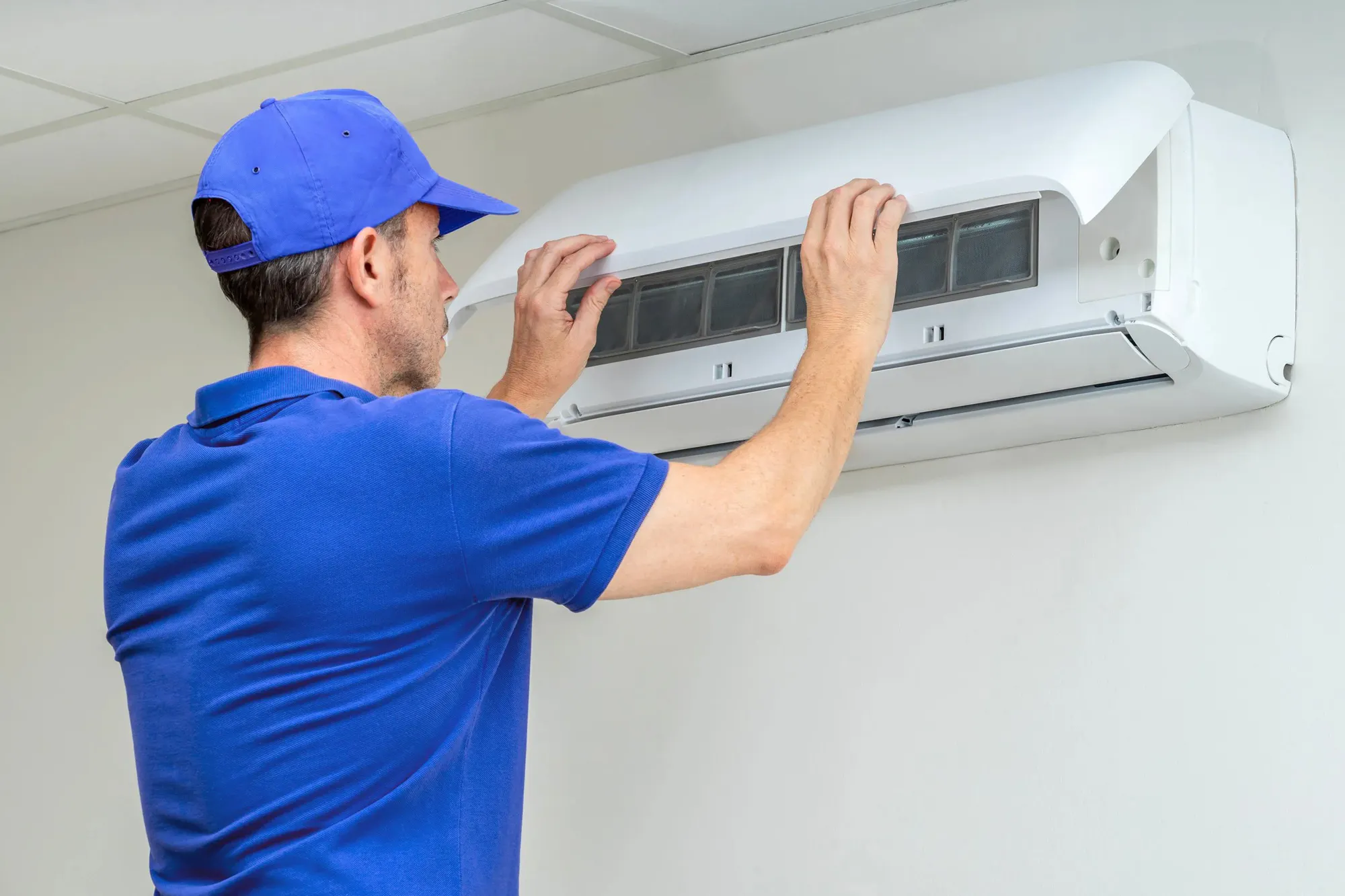 Whangarei HVAC Web2 Kakapo Business Sales