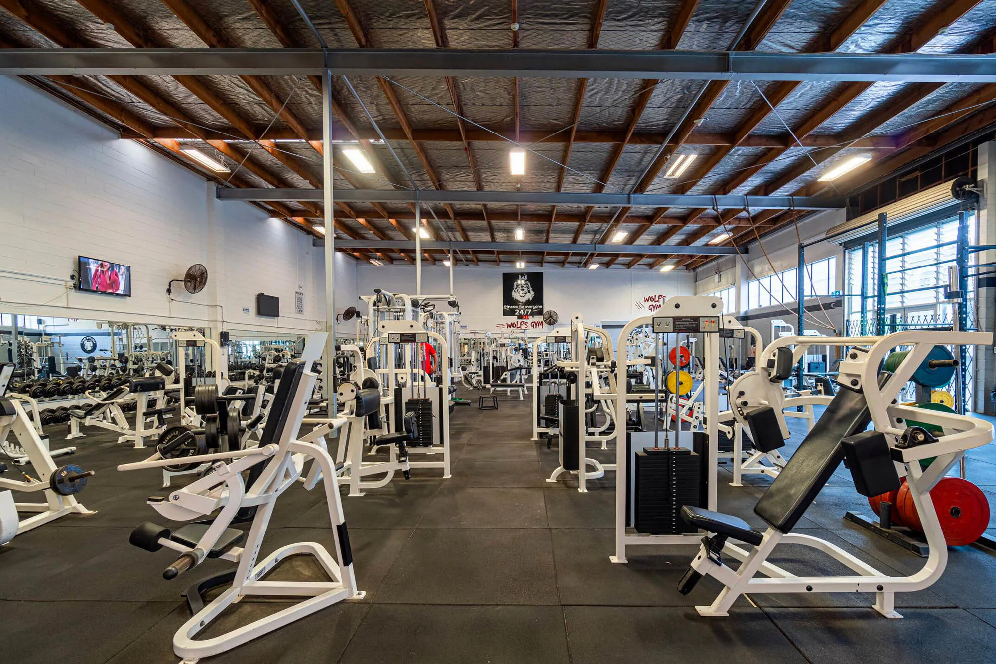 Wolfs Gym Web6 Kakapo Business Sales